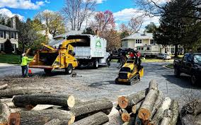 How Our Tree Care Process Works  in  Stowell, TX