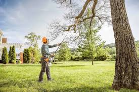 Best Stump Grinding and Removal  in Stowell, TX